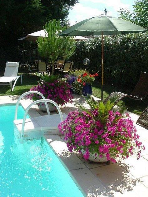 44 Potted Plants For Pool Area Ideas Plants Pool Landscaping