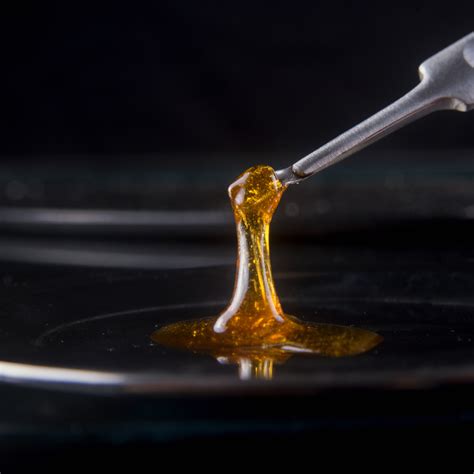 What is Rosin? and Why Rosin Concentrate is a Must For Dabbers ...