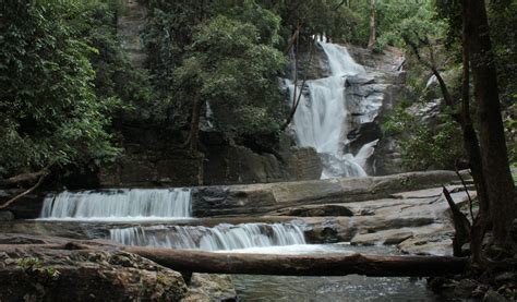 Vazhvanthol Waterfalls Kerala Tour Packages