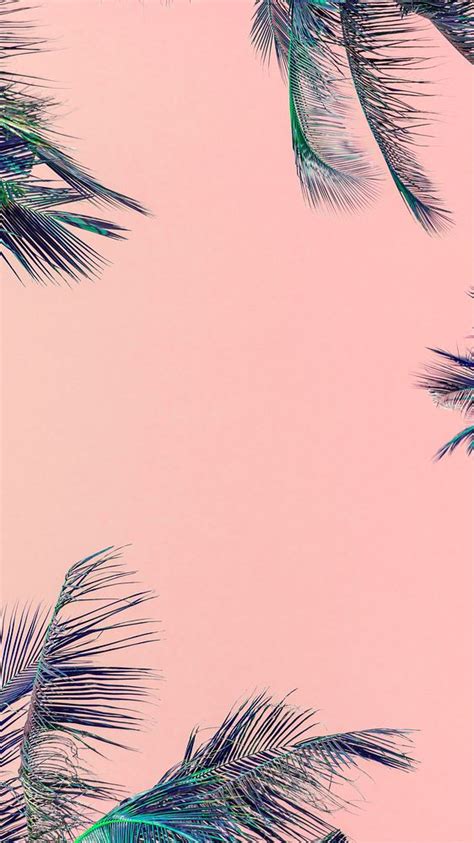Pink Iphone Wallpaper Summer Palm Premium Photo Rawpixel