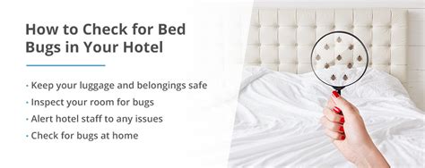 Bed Bugs In Hotels Everything You Need To Know Pestech 2023