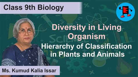 CBSE Class 9 Biology Diversity In Living Organism Hierarchy Of