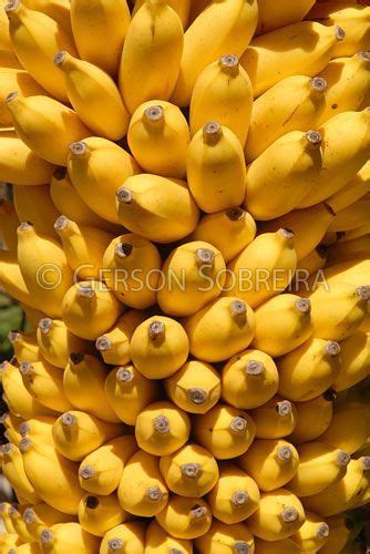 Banana Fresh Fruit Fruit Banana