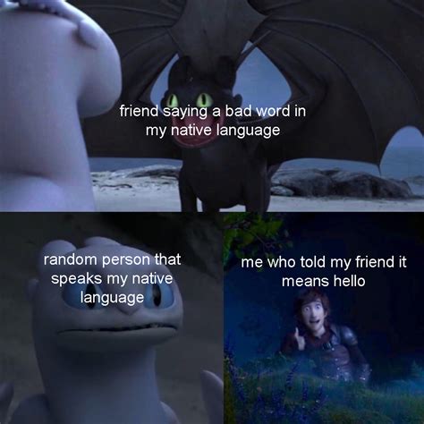 Toothless How To Train Your Dragon Meme About Video Friend Saying A Bad Word In My Native