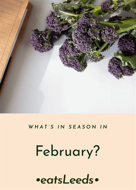 Whats In Season In February In The Uk List And Download Eatsleeds