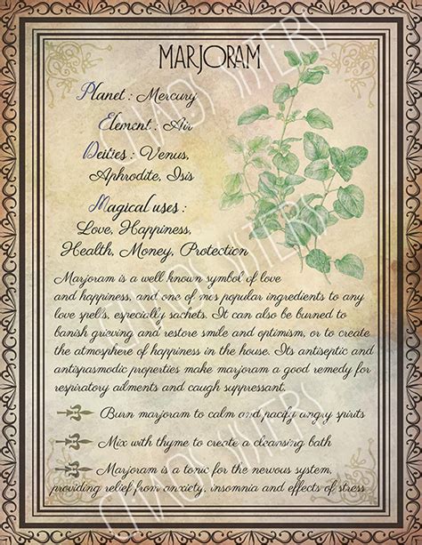 Printable Herbs Book Of Shadows Pages Set 2 Herbs And Plants Etsy