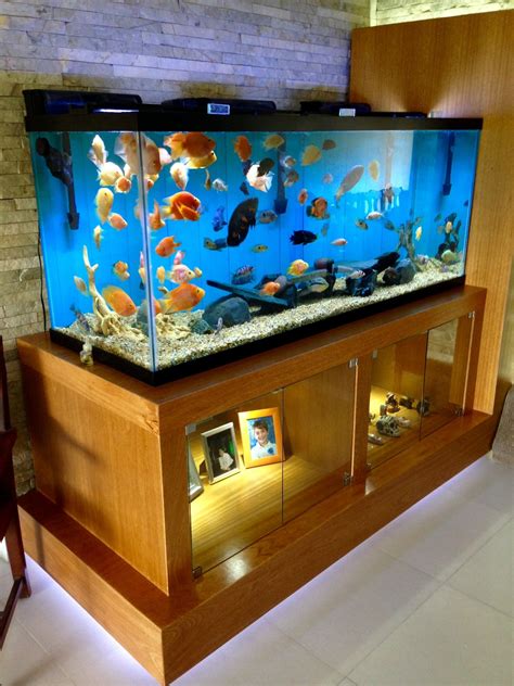 A Fish Tank Sitting On Top Of A Wooden Shelf Next To A Wall Filled With