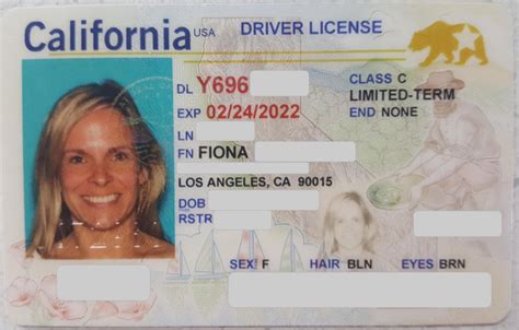 Where Is The Drivers License Number California