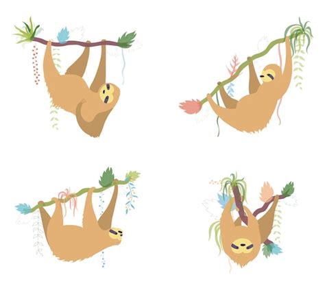 Premium Vector Set Of Cute Character Sloth Isolated Cartoon Baby