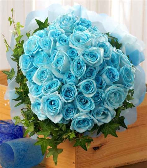2 Dozen Blue Roses A2265 Flower Delivery Flower Shop