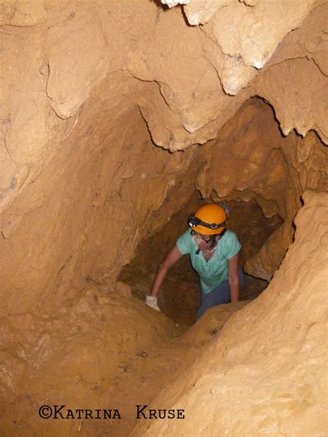 The Kruse Chronicles Continue In New Mexico Cuevas En El Bosque De