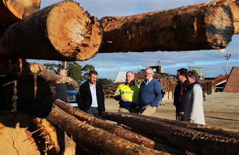4,984 likes · 16 talking about this · 468 were here. Timber industry future probed at inquiry | Tumut and ...