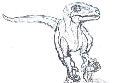 Blue Jurassic World Dibujo Para Colorear - páginas para colorear