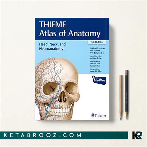 Head Neck And Neuroanatomy Thieme Atlas Of Anatomy اطلس آناتومی سروگردن