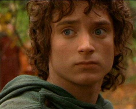 Frodo Baggins Frodo Baggins Frodo Lord Of The Rings