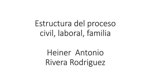Estructura Del Proceso Civil Laboral Familia Heiner Antonio Rivera