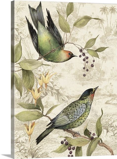 Tropical Birds Wall Art Canvas Prints Framed Prints Wall Peels