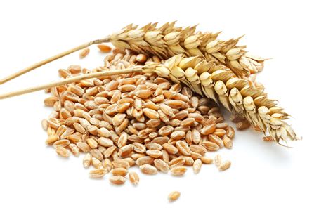 We did not find results for: Image result for gluten simple definition | Gluten free ...