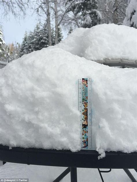 Alaska Receives More Than Six Inches Of Snow Their Heaviest For