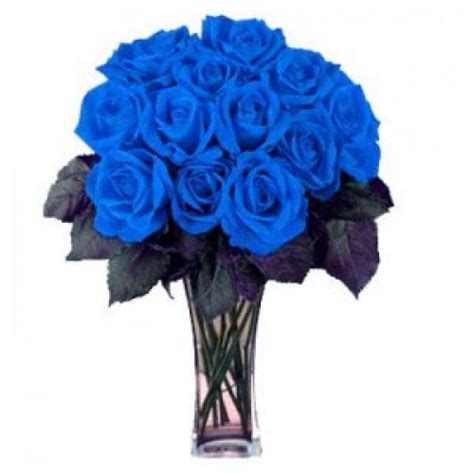 18 Stems Blue Dark Roses Toronto Bulk Flowers Wholesale Diy