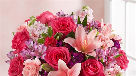 Save up to 50% with viator promo codes. One 800 Flowers Promo Code