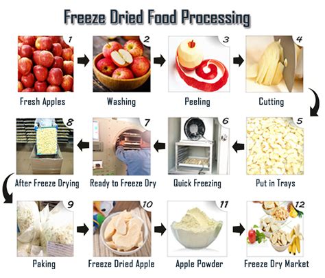 Advantages Of Freeze Dried Food