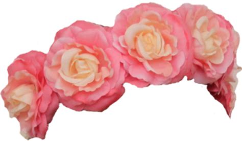 Download High Quality transparent flower crown Transparent PNG Images