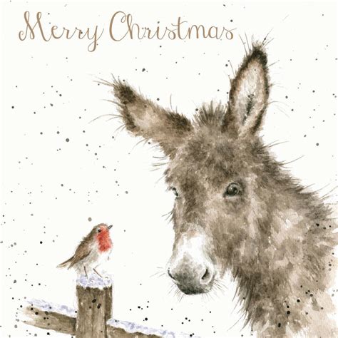 Set Of 8 Gold Foiled Merry Christmas Cards Wrendale Designs Donkey