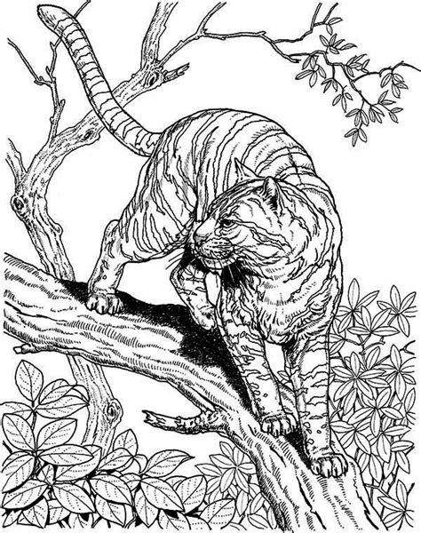 The Wild 2006 Free Colouring Pages