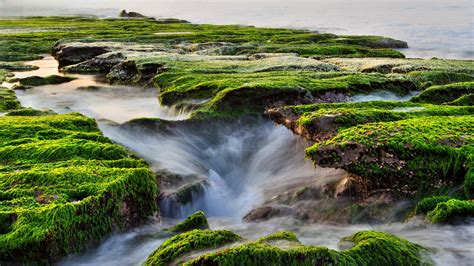 Water Stream Between Green Algae Grass Covered Rocks Scenery Hd Nature