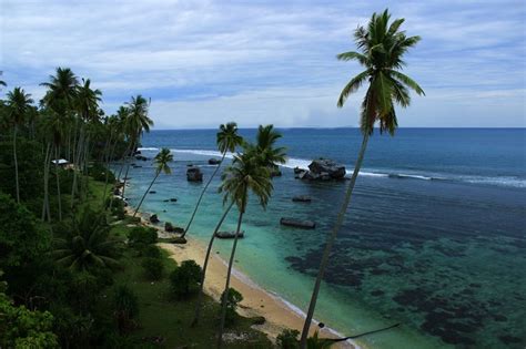 Menjadi salah satu pantai yang sangat indah dengan keunikan yang menyertainya. 10 Tempat Wisata yang Indah dan Menawan di Aceh Selatan ...