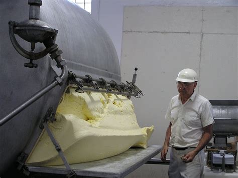 We did not find results for: Steele County's last butter maker churns it out the old ...