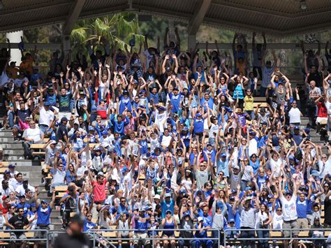 As many fans will attest to, dodger stadium is known to be one of the best places to catch live entertainment around town. The Ultimate Guide to Los Angeles Dodgers Game Day ...