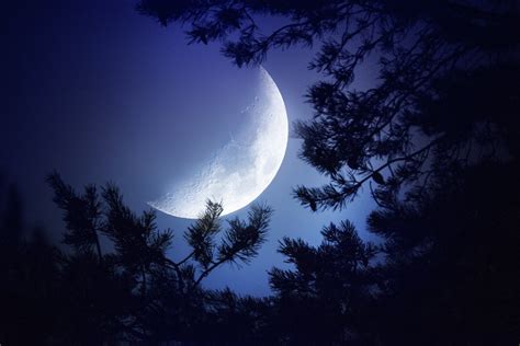 Big Moon Dark Night Hd Nature 4k Wallpapers Images Backgrounds