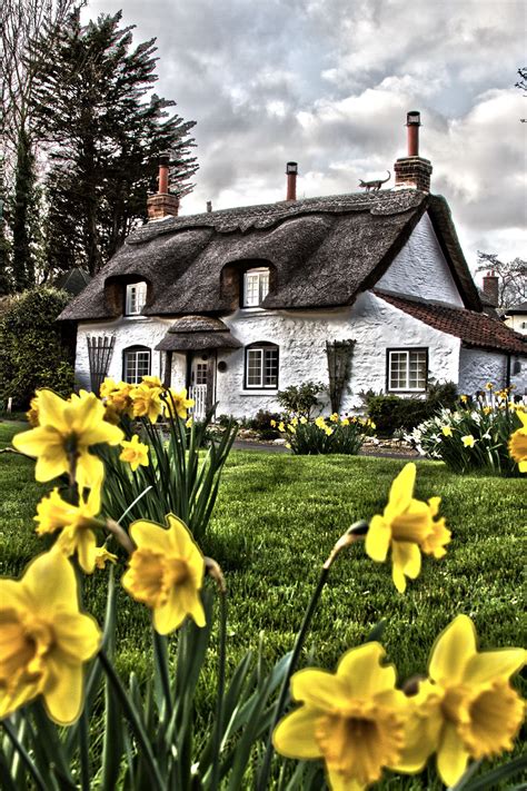 Welcome to english thatched cottages section, with a selection of thatched holiday cottages in england, including norfolk, the cotswolds, devon, dorset somerset and suffolk. Thatched Cottage Appleby | Cottage house designs, Thatched ...