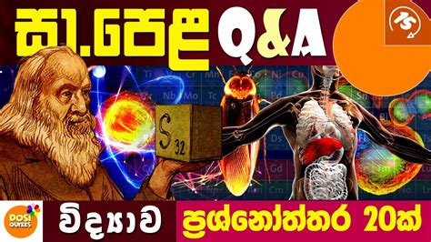 Maybe you would like to learn more about one of these? Samanya Pela Paper - O/L Exam Questions with Answers ...