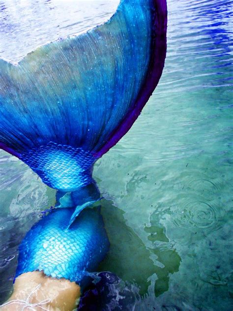 Calda De Sereia In 2019 Blue Mermaid Tail Mermaid Tails Mermaid Art