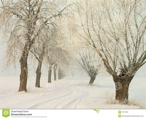 Winter Country Road With Frozen Trees At Sunrise Royalty