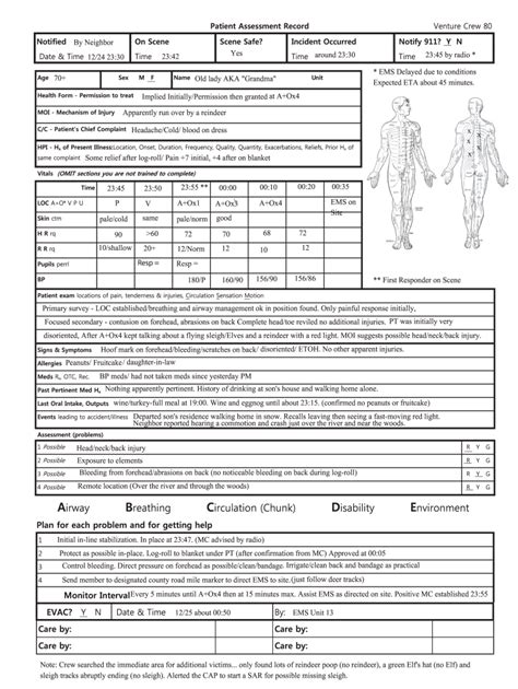 Patient Assessment Examples Fill Online Printable Fillable Blank
