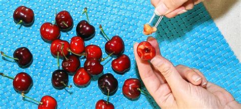 How To Pit Cherries Pcfma