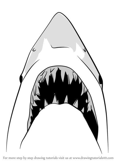 How To Draw Jaws Shark Other Animals Step By Step