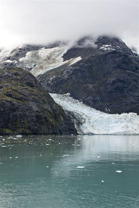 Alaska Johns Hopkins Glacier Stock Photo Image Of Iceberg America