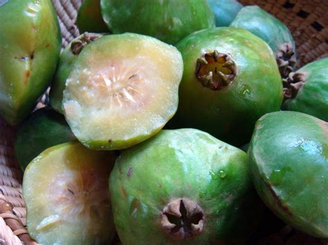 As Frutas Raras Do Brasil Mangaba Kinds Of Fruits Types Of Fruit