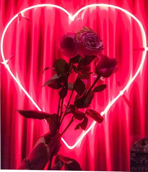 Pin by taayysoboujee on color feedz in 2019 neon. Pin on mobile wallpapers