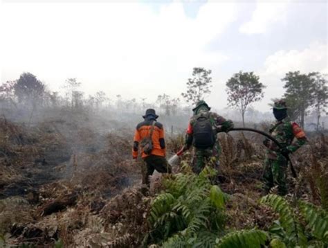 GoRiau Pelaku Pembakaran Hutan Dan Lahan Di Dumai Ditangkap Polisi