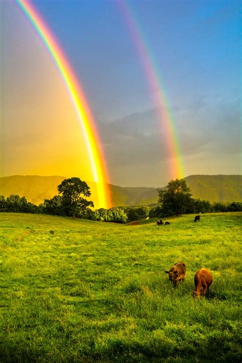 Double Rainbows Along The Farm Smithsonian Photo Contest