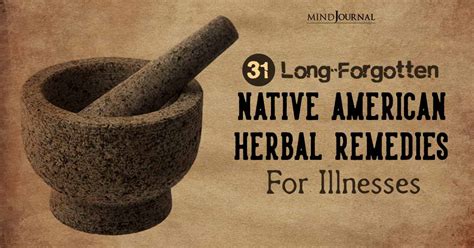 31 native american herbal remedies for curing illnesses