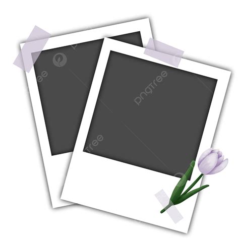 Gambar Bingkai Polaroid Dengan Tulip Cat Air Polaroid Bunga Cat Air