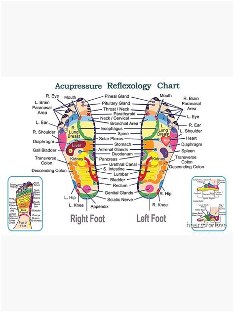 Acupressure And Reflexology Chart For The Feet In Tabla De Reflexología Y Acupresión Para Los