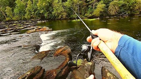 Koreans fish for trout in several ways, like in the westffly fishing is popular. A Trout Fishing Video - Hiwassee River - Our fishing